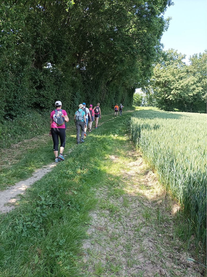 marche à pieds